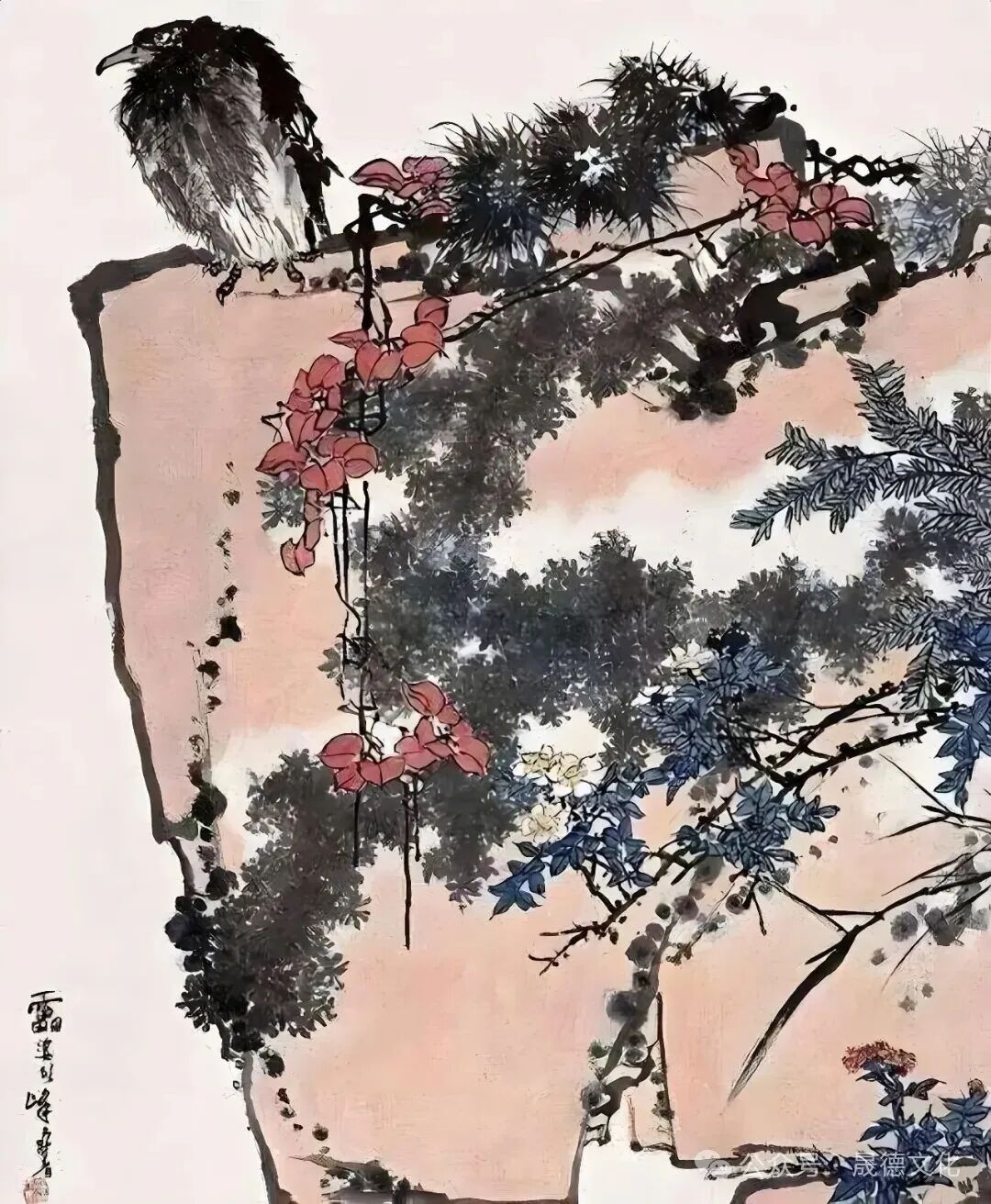图片