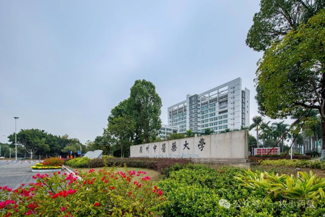 广州大学城里的医院_广州中医药大学大学城校区_广州大学城有哪些医科大学