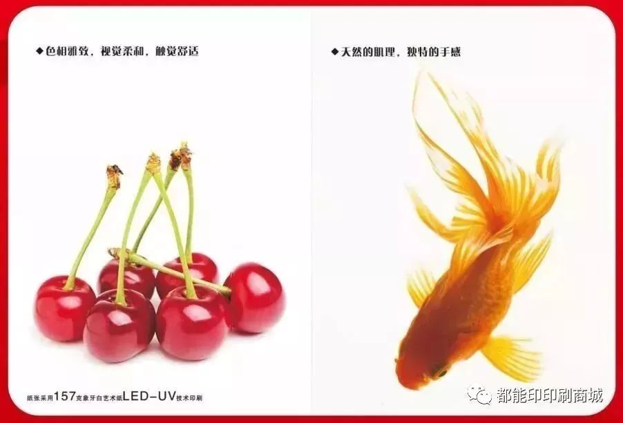 宣傳單頁(yè)印刷_青島宣傳彩頁(yè)印刷_宣傳冊(cè)印刷用紙