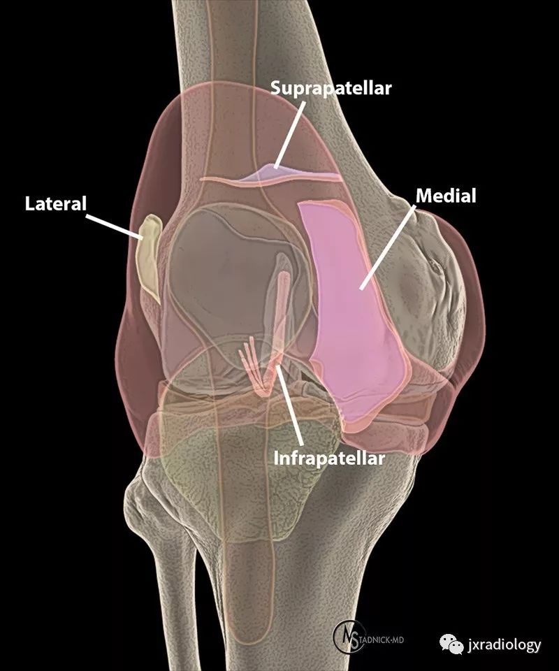髌内侧滑膜皱襞综合征（medial patellar plica syndrome, mps）