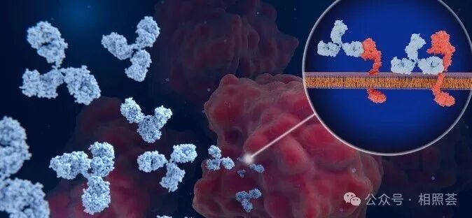 免疫治疗副作用全解析：皮疹、腹泻怎么办？应对手册来了~