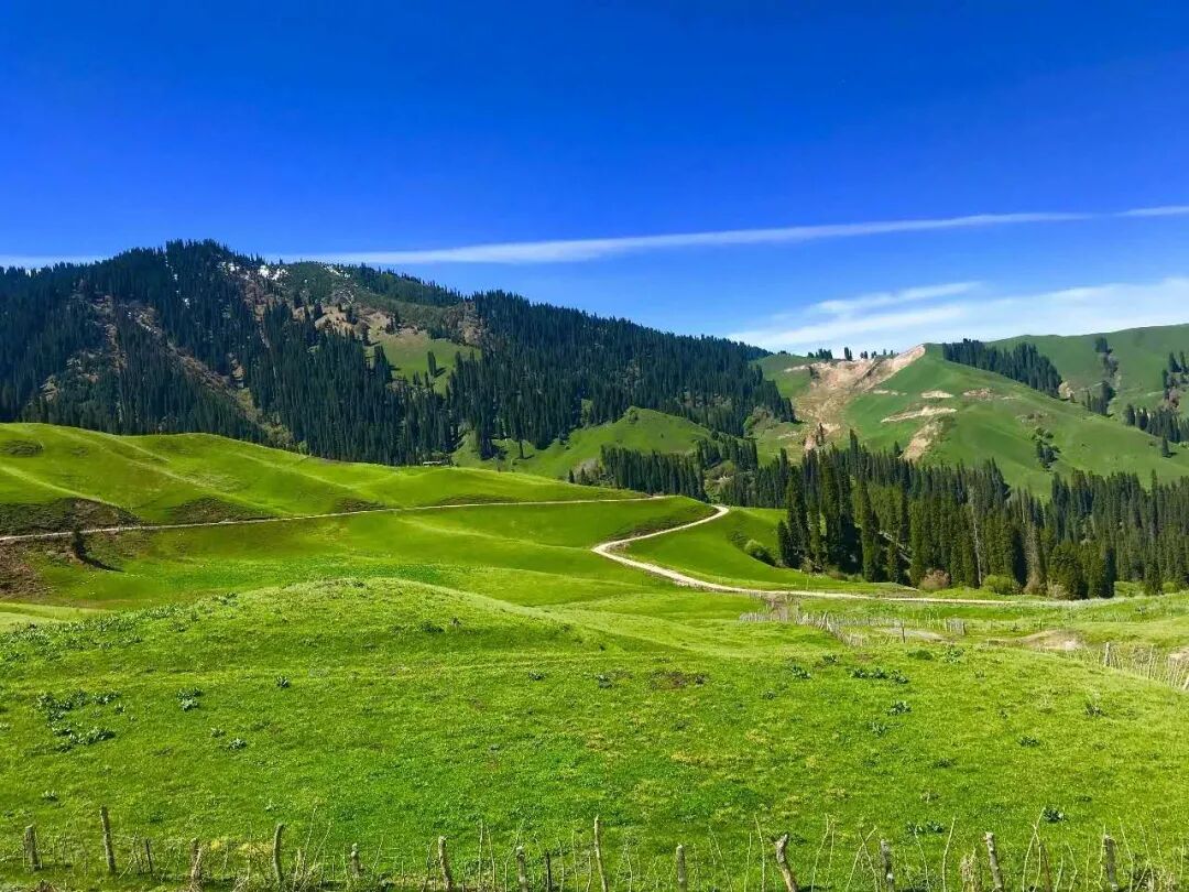 醉美巩留 | 伊犁最秀是恰西-图片新闻-巩留县人民政府