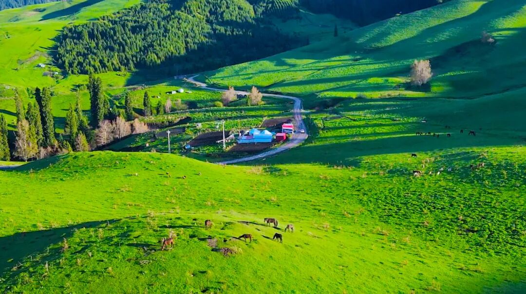 恰西,地处新疆巩留县东南部山区,是国家级森林公园.