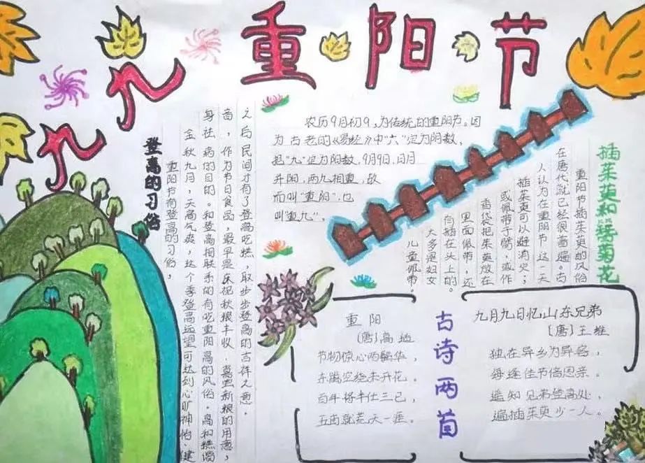 淮阳区羲城中学英才部举行重阳节手抄报设计活动