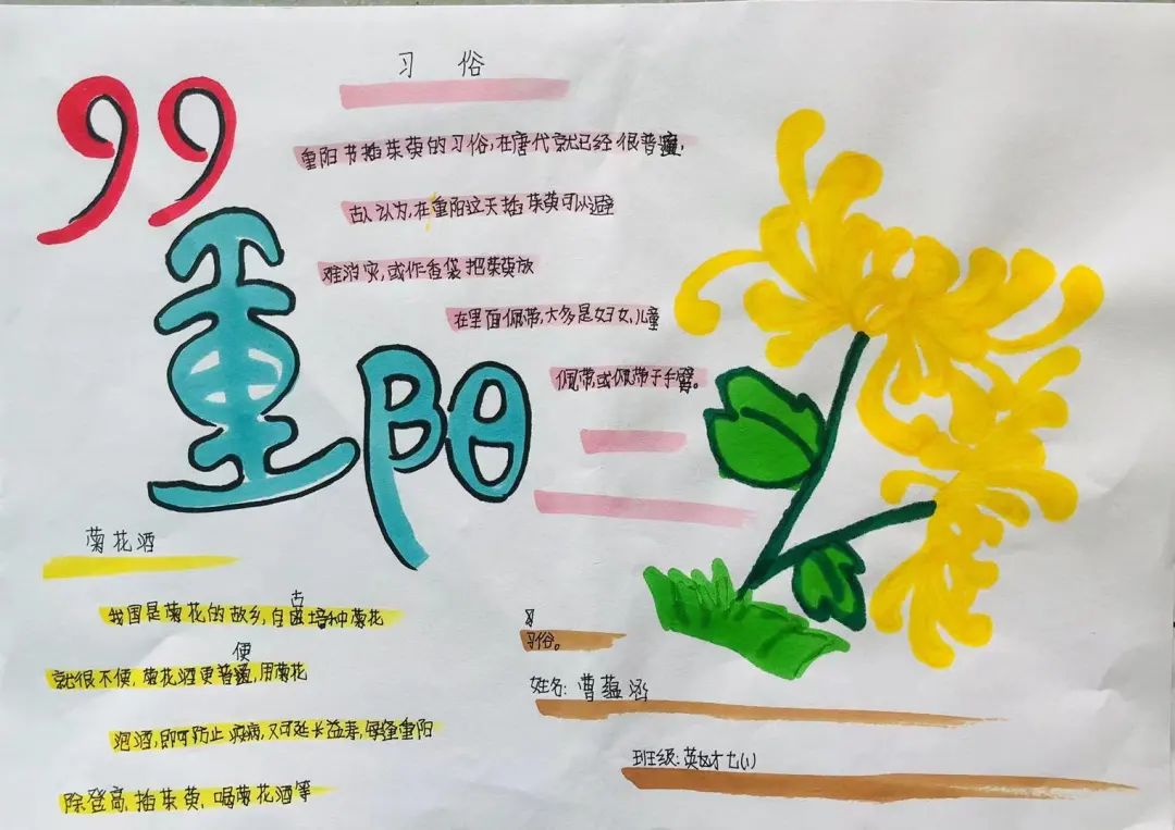淮阳区羲城中学英才部举行重阳节手抄报设计活动