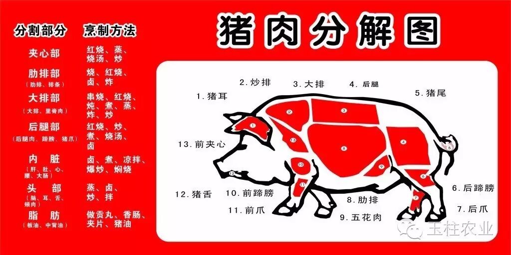 猪肉分割图解
