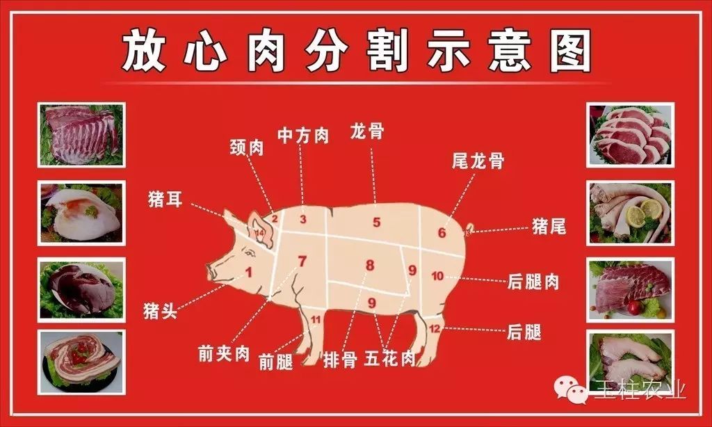 猪肉1234号肉分割图图片