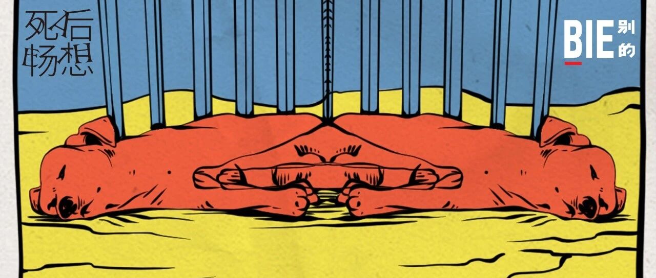 宠物去世后，你会选择克隆，还是安葬？