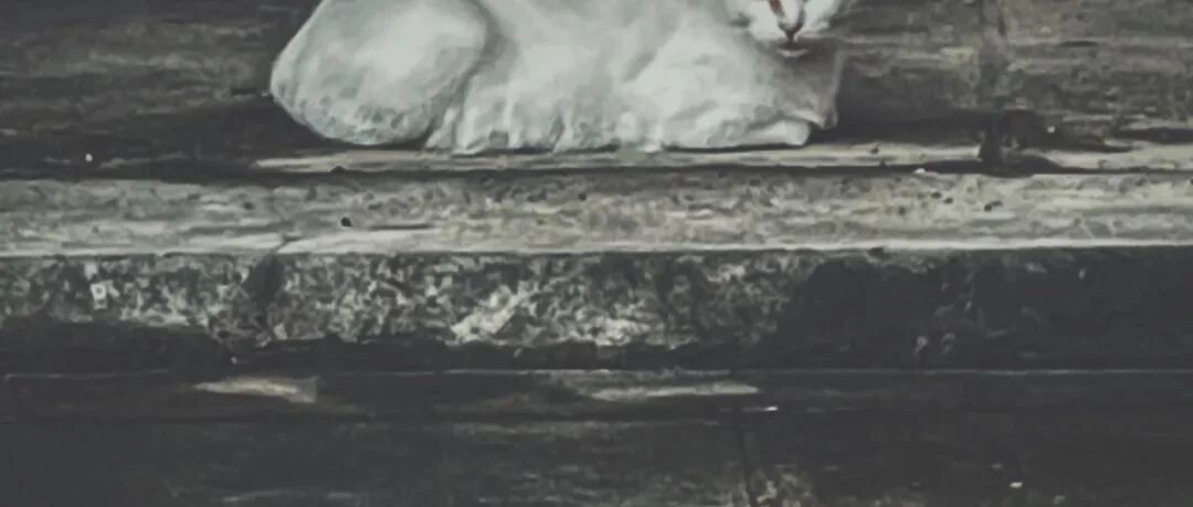 都是尖的 9 月新作混音 | Baihui 电台：别的音乐 w/ Ivan Hrozny