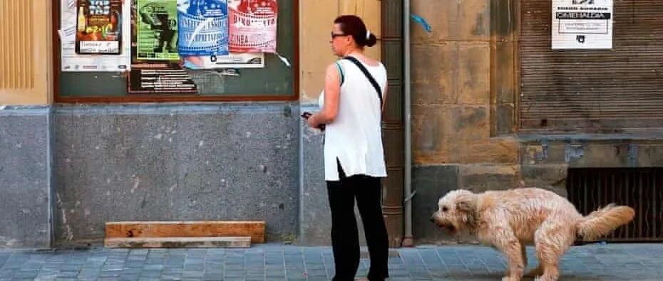 狗狗拉粑粑铲屎官没捡，他们验屎DNA追踪，半年后铲屎官643公里外收罚单！