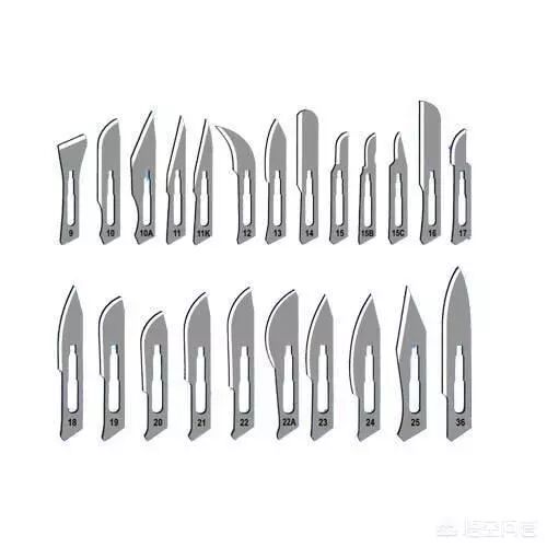手术刀的刀片怎么安装外科医生手术刀的种类型号，怕是比女生口红的种类型号，还要多。_https://www.jmylbn.com_新闻资讯_第8张