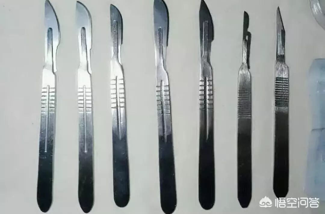 手术刀的刀片怎么安装外科医生手术刀的种类型号，怕是比女生口红的种类型号，还要多。_https://www.jmylbn.com_新闻资讯_第3张