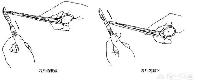 手术刀的刀片怎么安装外科医生手术刀的种类型号，怕是比女生口红的种类型号，还要多。_https://www.jmylbn.com_新闻资讯_第6张