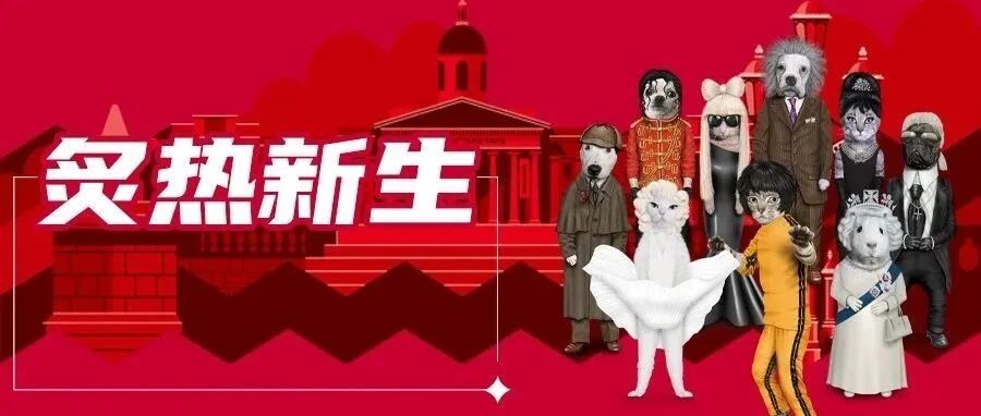 你家爱宠赚钱养家的时刻到了！无门槛消费券免费领，最高3000元！