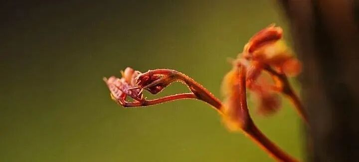 为什么叫肌电生物反馈生物反馈法_https://www.jmylbn.com_新闻资讯_第6张