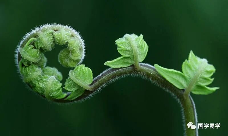 为什么叫肌电生物反馈生物反馈法_https://www.jmylbn.com_新闻资讯_第3张