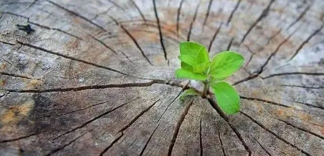 为什么叫肌电生物反馈生物反馈法_https://www.jmylbn.com_新闻资讯_第2张