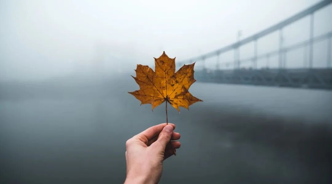 焦虑的背后：对未来不确定性的恐惧