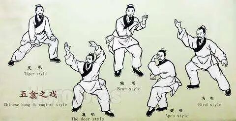 千年流传的健身气功《五禽戏》，最完整教学视频（收藏）