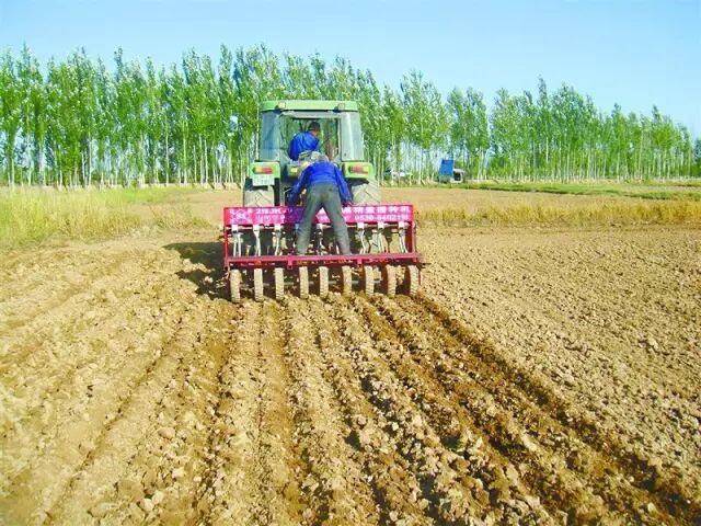 2016/2017年度小麦秋冬种技术指导意见,辽宁农业种植研究社