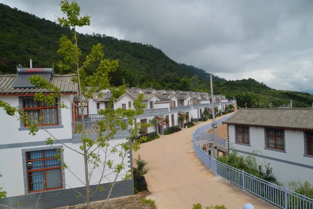 在甸中镇小河村委会松山组,一眼望去,白墙灰瓦,具有彝家特色的民居一