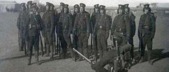 清朝灭亡之后，皇宫高手如云的数万御林军如何安置的呢？