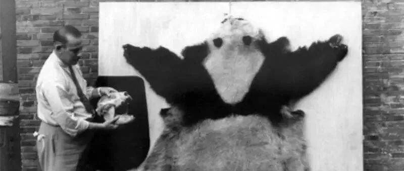 抗战十四年，国宝大熊猫有多危险？