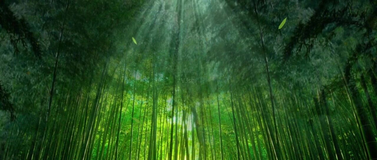 老话说“竹子开花，马上搬家”，竹子开花到底有多恐怖？