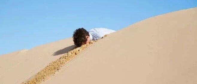 ​“为了川普拜登谁当总统，我24小时没睡觉”：真正的聪明人，只过1%的生活