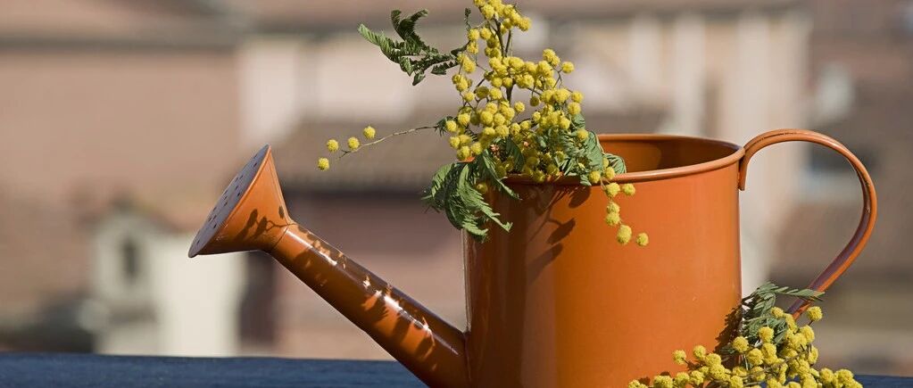 哈佛大学推荐：让自己变幸福的20件小事