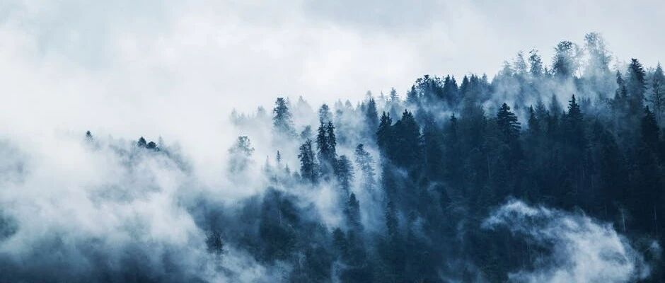 如何有逻辑地说话？简单3招，掌握说话之道