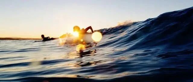 “专业”才是人生最好的逆袭武器