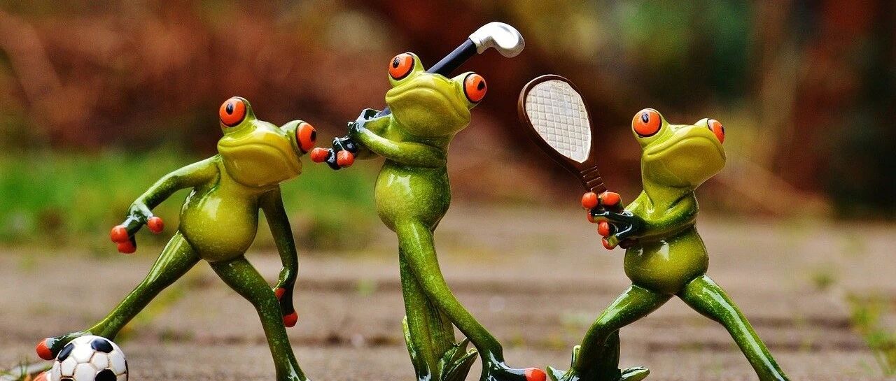 不想让自己废掉，无论任何时候，你都要懂得“青蛙法则”