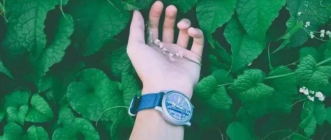 人人都想高效，但高效者寥寥