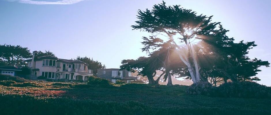 真正聪明的人，都善“藏”