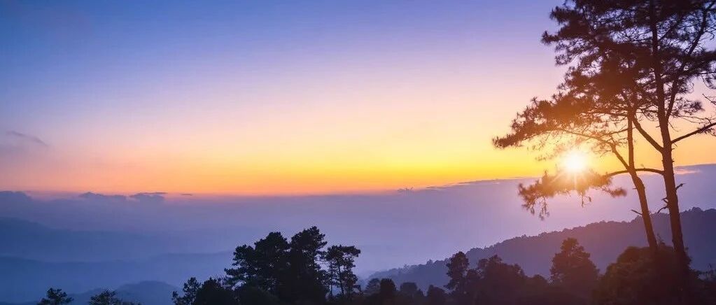 人生的最大谎言：只要实现了财富自由，你就拥有了一切