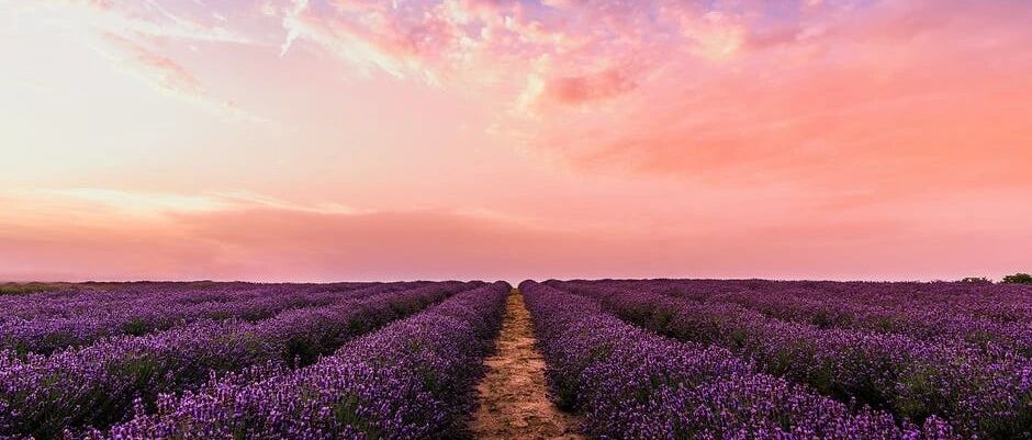 7个思维方式，决定你的人生高度