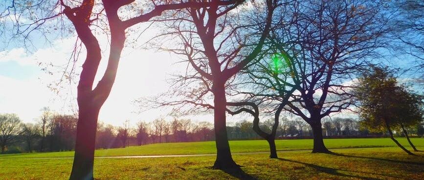 会学习，才是一个人最牛的技能