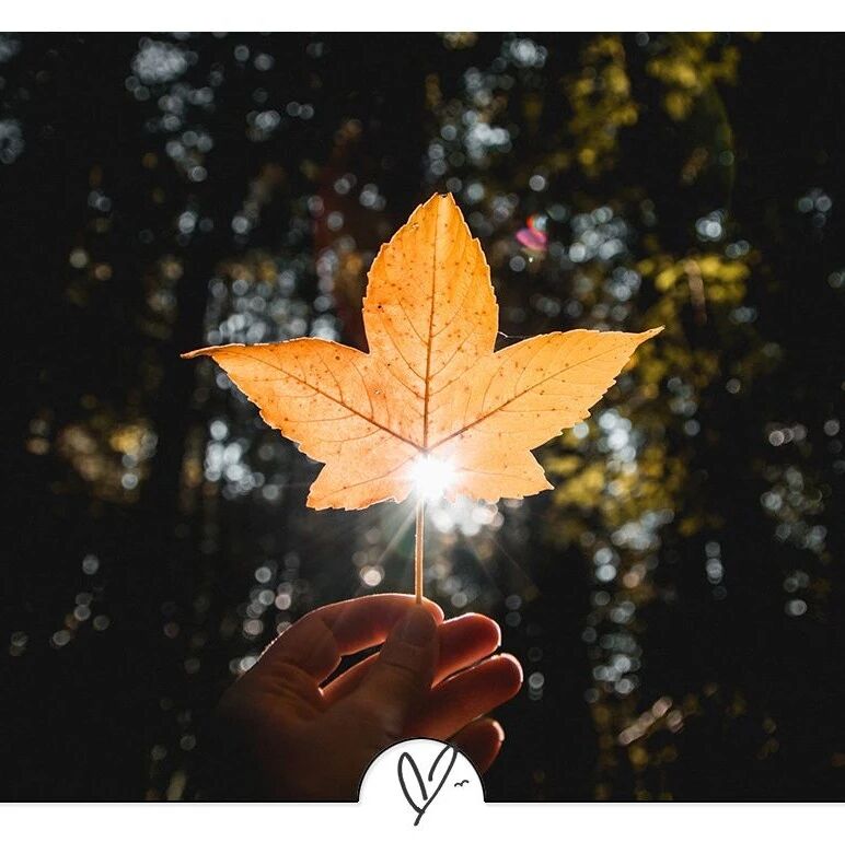 哈佛大学推荐：让自己变幸福的20件小事