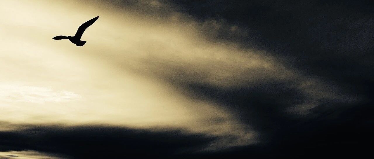 ​你是如何做到工作学习两“耽误”的？