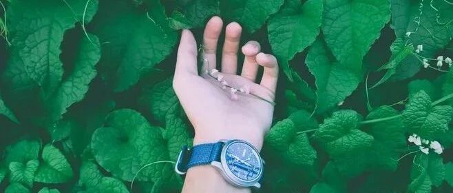 这个问题，决定了你5年后的层次