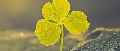 ​2020年即将结束：生活教给你的5条真相