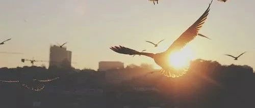 如何长久、持续且稳定地做一件事?