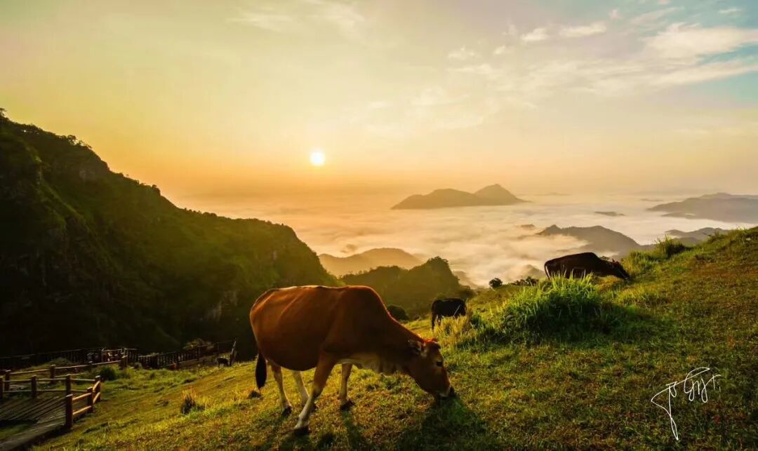 岑溪市天龙顶山地公园