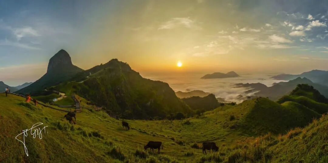 岑溪市天龙顶山地公园