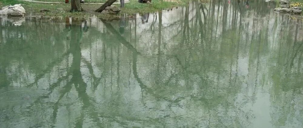 【青春语文 · 雪兰专栏】《咏雪》——语用型文本教学设计