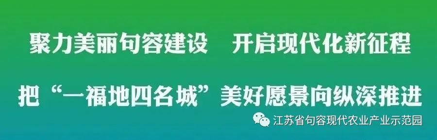 央视致富经_2020央视致富经_央视致富节目