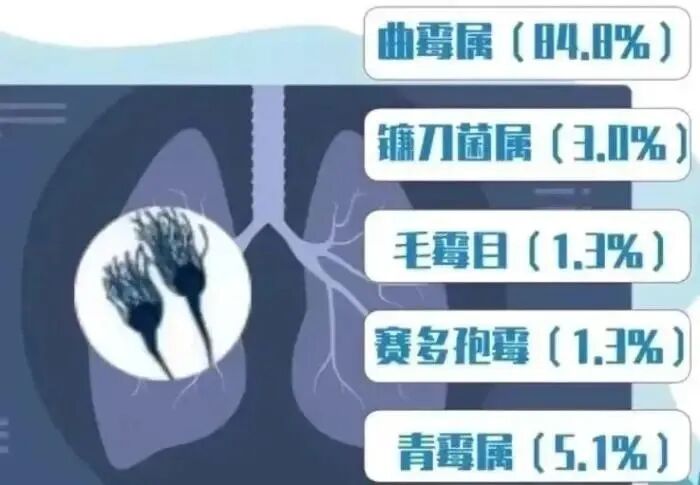 杭州姑娘高烧40℃，肺部长霉菌！只因清理发霉衣柜时忽视这一细节…… 