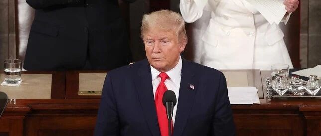 特朗普提出推迟美国大选！最大受益者却可能是她……