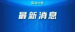 他致电普京、泽连斯基，提议……